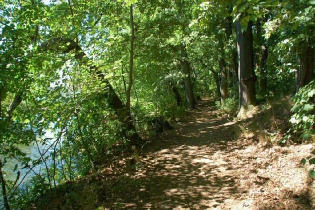 Dachwohnung Mit Wasserblick Und Eigenem Bootssteg Berlino